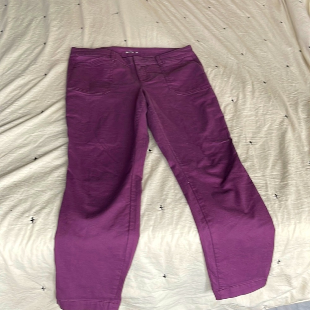 Old Navy Pixie Purple Pants size 10